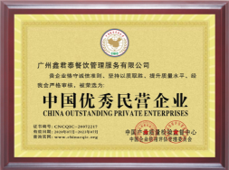 中国优秀民营企业